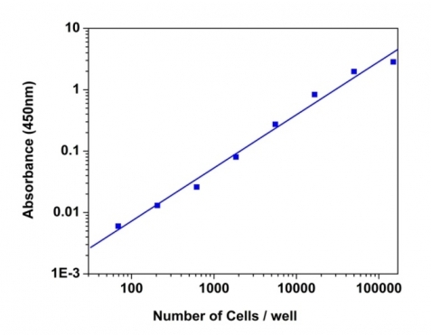Cell Meter 比色法WST-8细胞定量试剂盒    货号22770