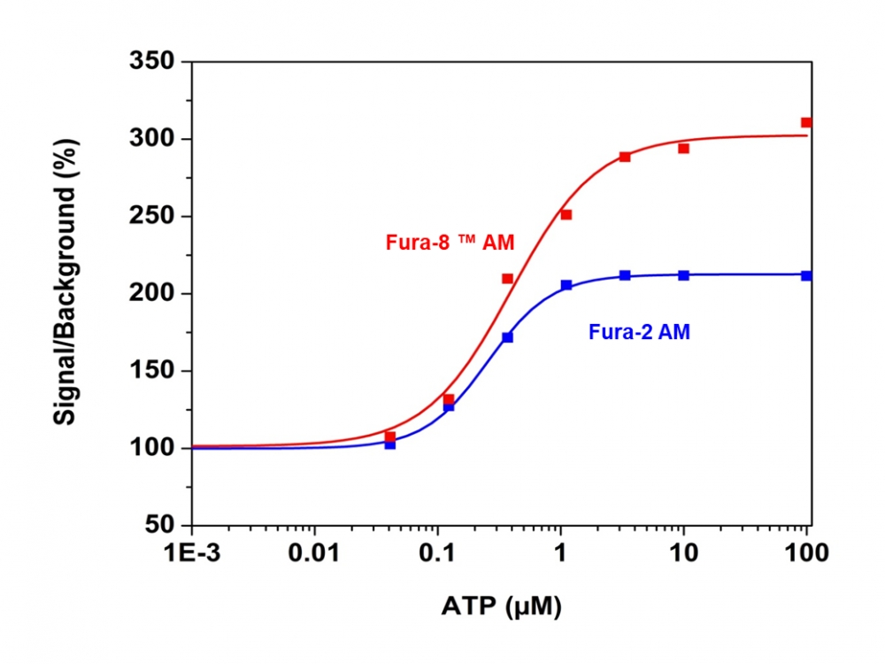 钙离子荧光探针Fura-8, AM    货号21055