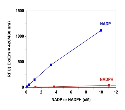 Amplite NADP检测试剂盒（荧光法）蓝色荧光     货号15281