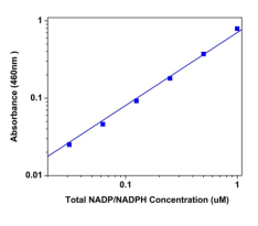Amplite NADP+/NADPH检测试剂盒（比色法）增强灵敏度   货号15276