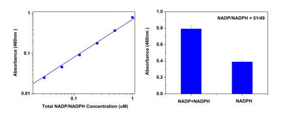 Amplite NAD+/NADH检测试剂盒（比色法）增强灵敏度   货号15275
