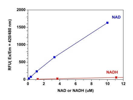 Amplite NAD检测试剂盒 （荧光法）蓝色荧光    货号15280