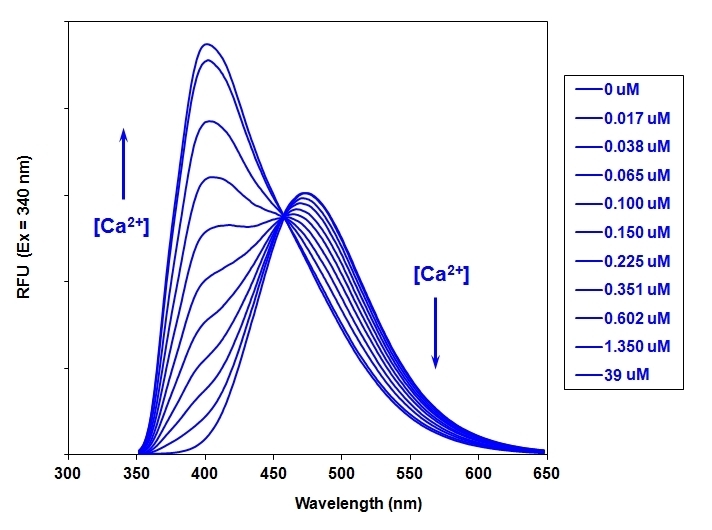 钙离子荧光探针Indo-1, AM CAS 112926-02-0    货号21036
