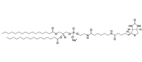 二棕榈酰磷脂酰乙醇胺-N-生物素钠盐（DPPE-cap-Biotinyl）,384835-52-3