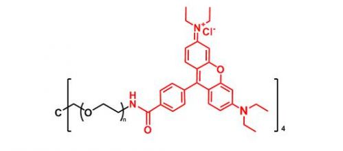 四臂聚乙二醇罗丹明 4ARM-PEG-Rhodamine