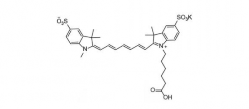 diSulfo-Cy7 Carboxylic Acid(Methyl)/水溶性Cy7 COOH