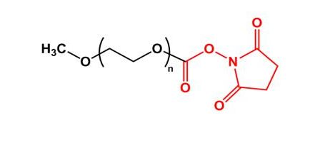 甲氧基聚乙二醇琥珀酰亚胺碳酸酯 mPEG-SC