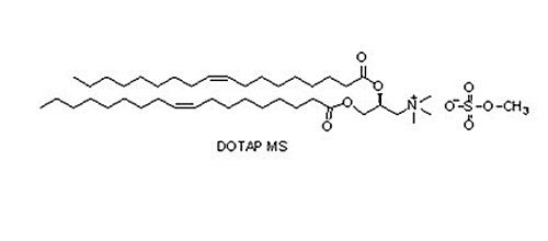 (2,3-二油酰基-丙基)-三甲胺硫酸盐( DOTAP MS), 144189-73-1