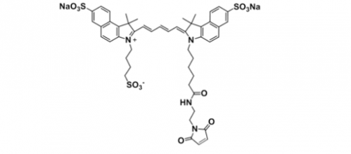 triSulfo-Cy5.5 Maleimide/水溶性Cy5.5 Maleimide