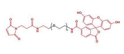 荧光素聚乙二醇马来酰亚胺 FITC-PEG-MAL