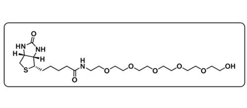 Biotin-PEG6-OH；906099-89-6