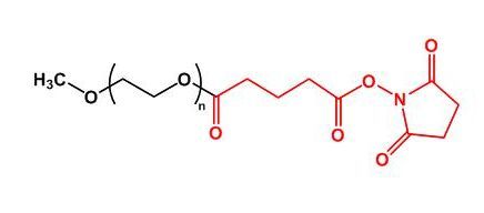 甲氧基聚乙二醇琥珀酰亚胺戊二酸酯 mPEG-SG