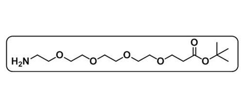 Amine-PEG4-COOtBu，581065-95-4