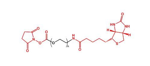 活性酯聚乙二醇生物素 NHS-PEG-Biotin