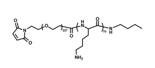 聚赖氨酸聚乙二醇马来酰亚胺  PLL-PEG-MAL