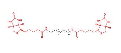 二生物素聚乙二醇 Biotin-PEG-Biotin