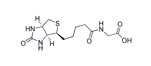 N-Biotinyl Glycine;生物素甘氨酸