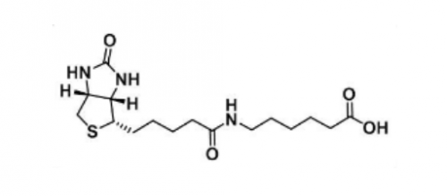 Biotin-LC; 6-生物素氨基己酸