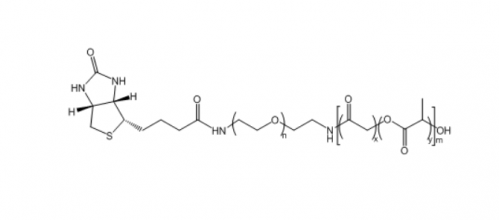 聚乳酸羟基乙酸共聚物聚乙二醇生物素 PLGA-PEG-Biotin