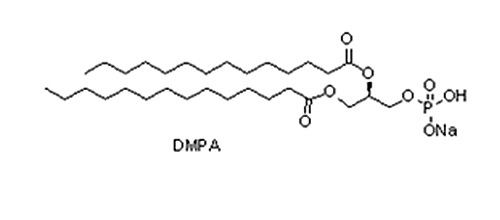 二肉豆蔻酰磷脂酸钠盐（ DMPA）,80724-31-8