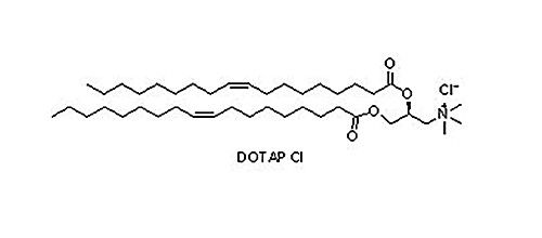 (2,3-二油氧基丙基)三甲基氯化铵（DOTAP Cl)，132172-61-3
