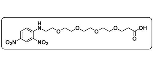 DNP-PEG4-Acid；858126-76-8