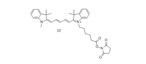 Cy5 NHS(Methyl)/Cyanine5 NHS ester
