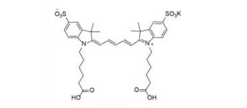 diSulfo-Cy5 carboxylic acid(Di)/水溶性CY5 COOH(Di)