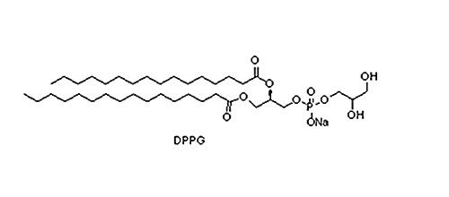 1,2-棕榈酰磷脂酰甘油钠盐（DPPG），200880-41-7