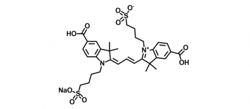 diSulfo-Cy3 bis-Carboxylic Acid/水溶性CY3 Bis COOH