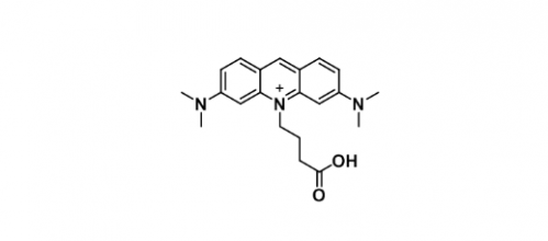 ATTO 495 acid;1258222-14-8