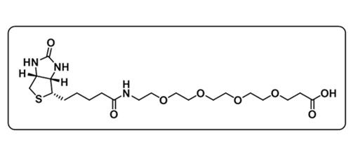 Biotin-PEG4-Acid；721431-18-1