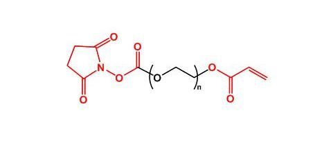 活性酯聚乙二醇丙烯酸酯 NHS-PEG-AC