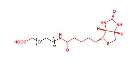 羧基聚乙二醇生物素 COOH-PEG-Biotin