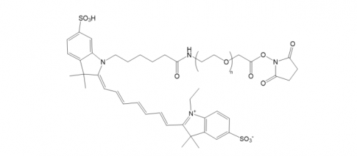 Cy7-PEG-NHS ester