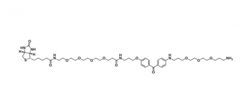 UV-Tracer Biotin amine；1628028-95-4