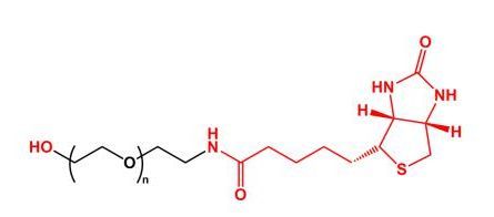 羟基聚乙二醇生物素 HO-PEG-Biotin