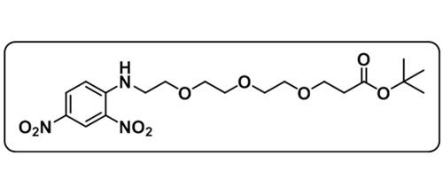 COOtBu-PEG3-DNP；DNP-PEG3-t-butyl ester