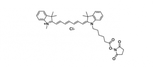 Cy7 NHS(Methyl)/ Cyanine7 NHS ester