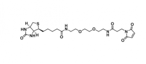 Biotin-PEG2-maleimide