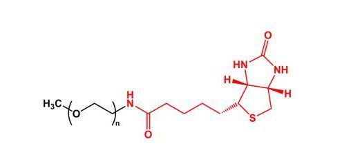 甲氧基聚乙二醇生物素 mPEG-Biotin