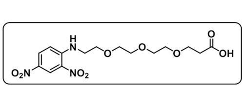 Acid-PEG3-DNP；DNP-PEG3-COOH