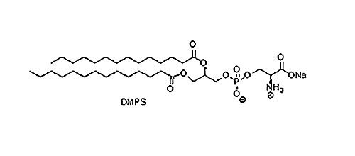 磷脂酰丝氨酸系列（PS 类磷脂）(DMPS),105405-50-3105405-50-3