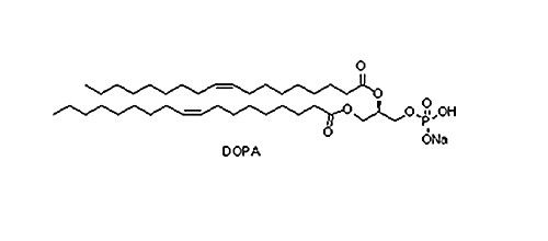 DOPA，二油酰磷脂酸钠盐，108392-02-5
