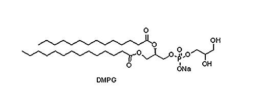 二肉豆蔻酰磷脂酰甘油钠盐（DMPG)，200880-40-6