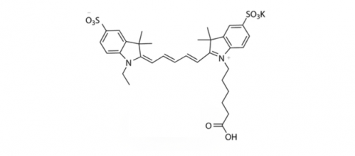 diSulfo-Cy5 carboxylic acid(Ethyl)/水溶性Cy5 COOH