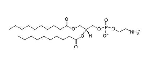 1,2-二癸酰基-sn-甘油-3-磷酸乙醇胺(10:0 PE)，253685-27-7