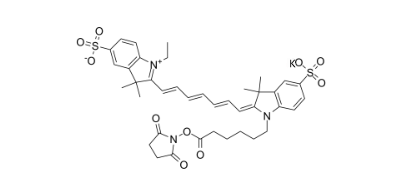 diSulfo-Cy7 NHS ester(Ethyl)/水溶性Cy7 NHS ester