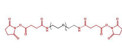 二琥珀酰胺琥珀酰亚胺酯聚乙二醇 SAS-PEG-SAS