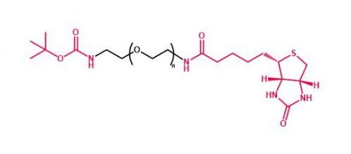 叔丁氧羰基聚乙二醇生物素 Boc-NH-PEG-Biotin